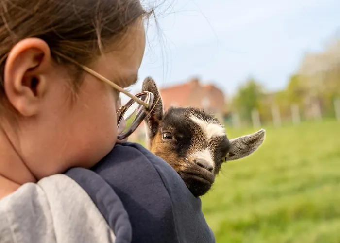 Logements Insolites A La Ferme - Yourte, Kota Ou Pod