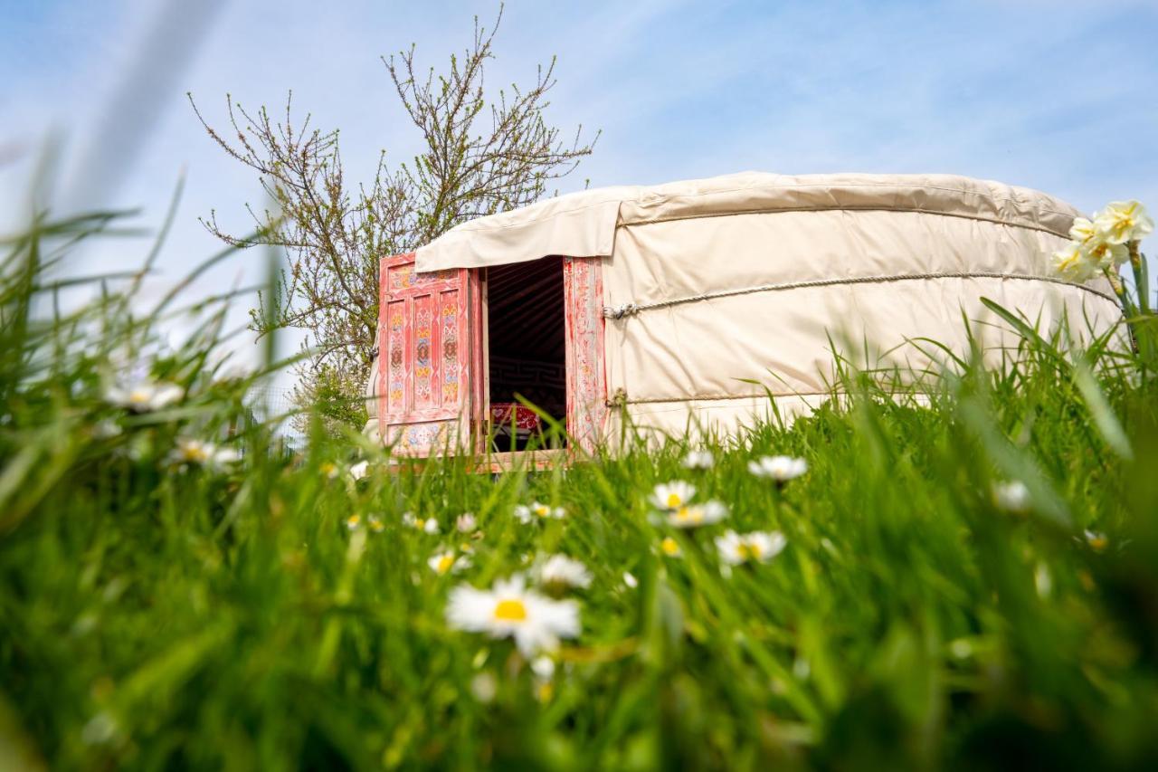 Insolites A La Ferme - Yourte, Kota Ou Pod Holiday home *