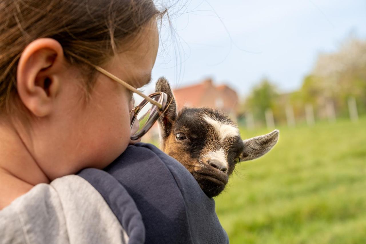 Insolites A La Ferme - Yourte, Kota Ou Pod Holiday home