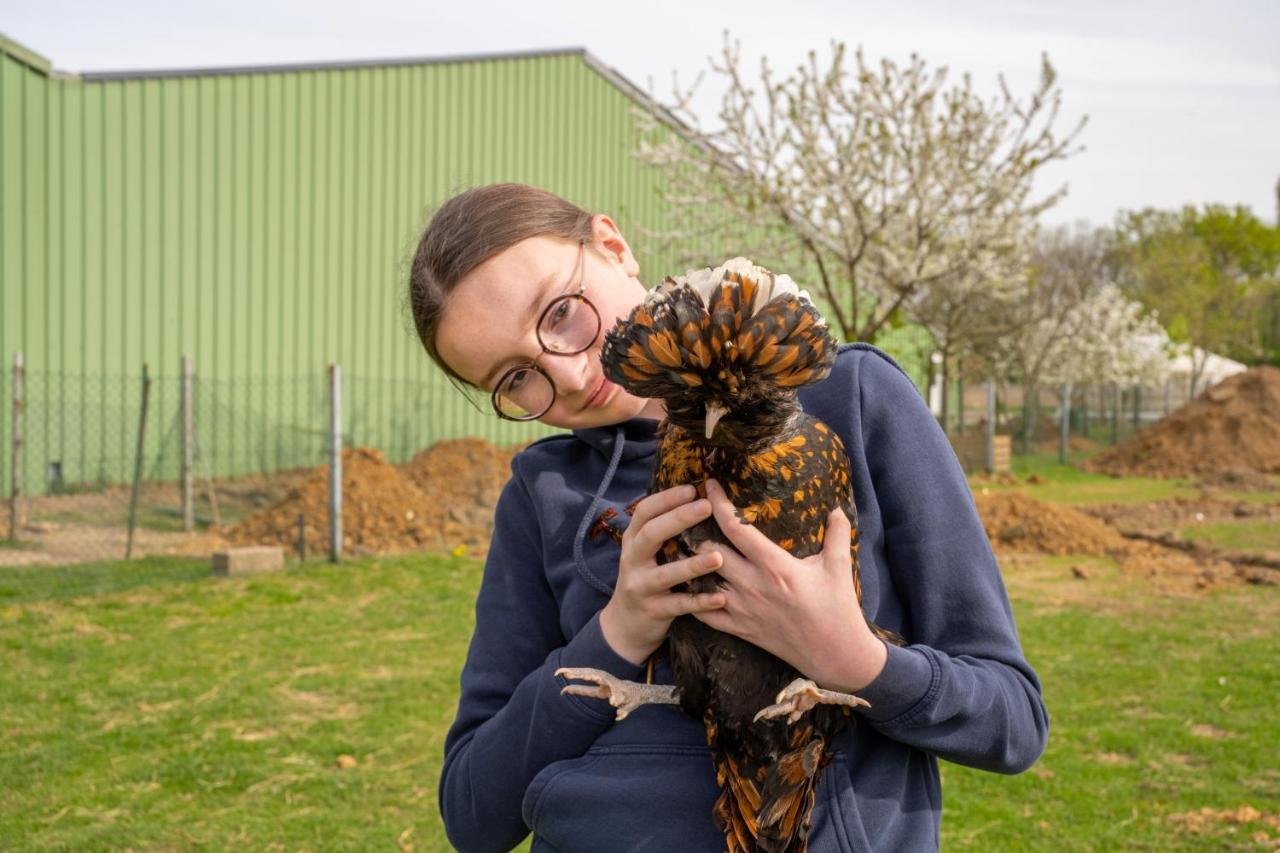 Insolites A La Ferme - Yourte, Kota Ou Pod Farbus
