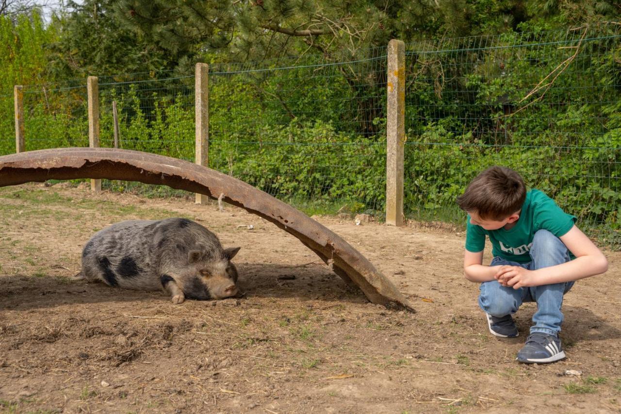 Ferienhaus Insolites A La Ferme - Yourte, Kota Ou Pod *