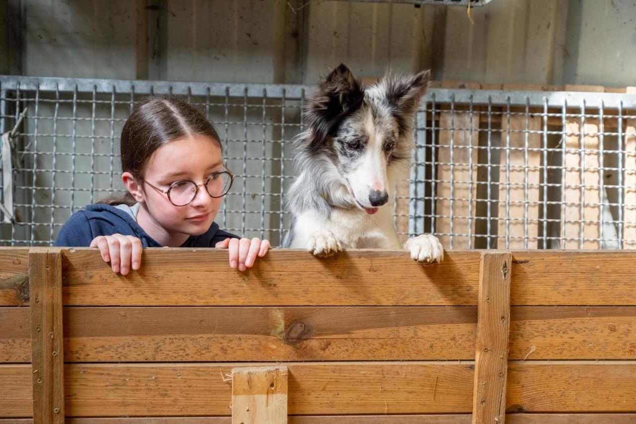 Insolites A La Ferme - Yourte, Kota Ou Pod